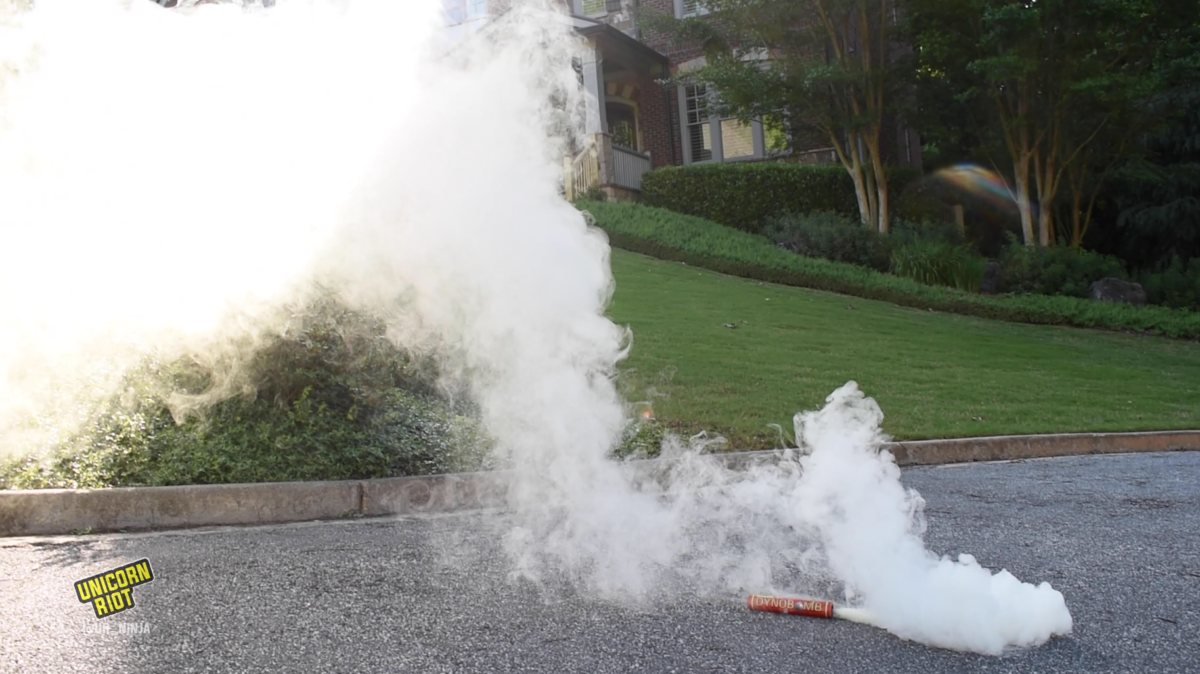 SWAT Teams Attack Atlanta Forest Encampments, Activists Charged with ‘Terrorism’