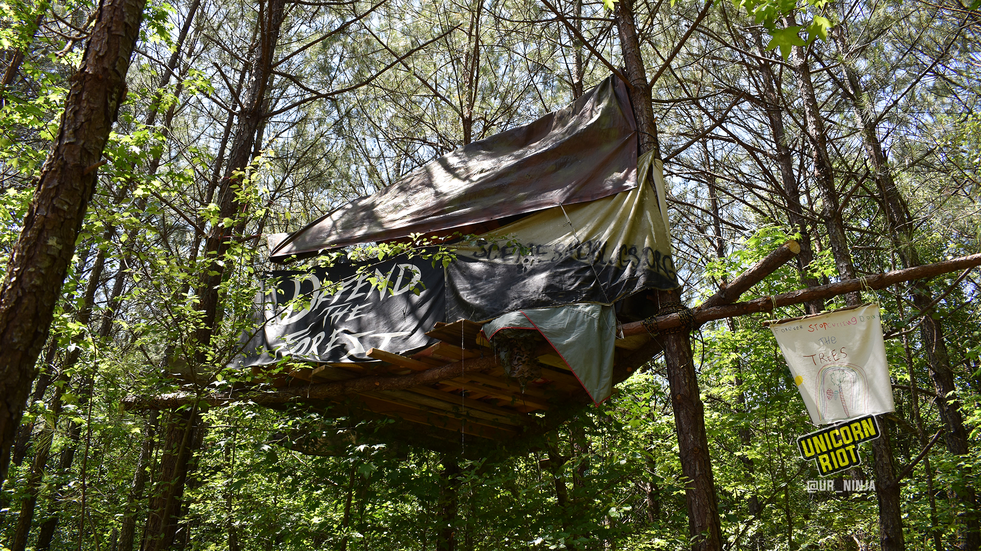 Atlanta Fights to Save Its Forest